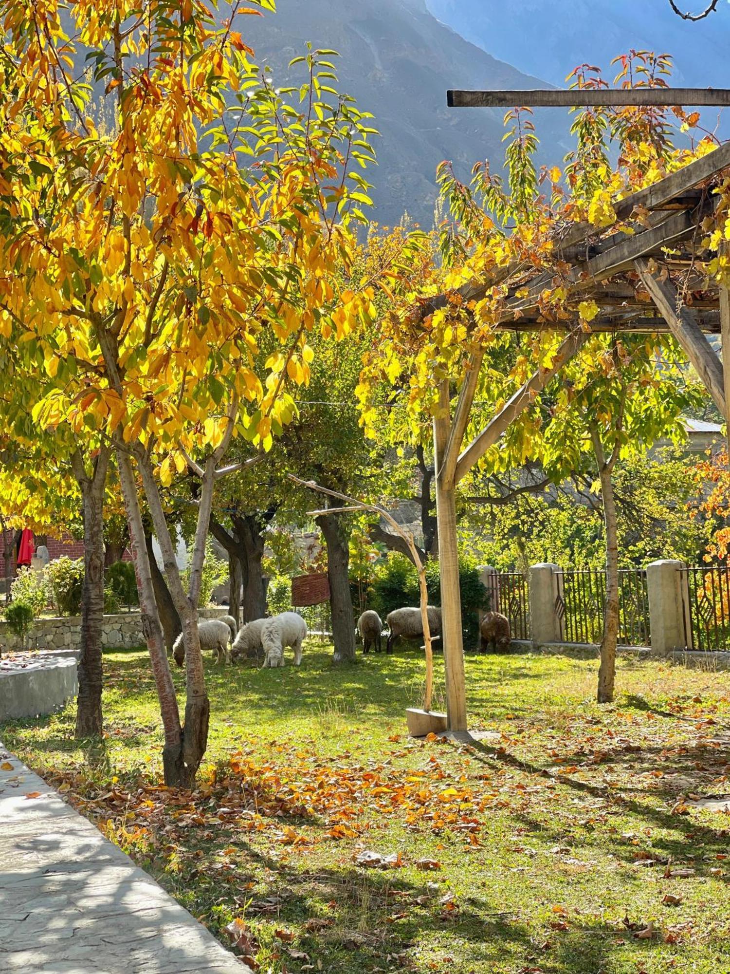 Dumani Nagar Hotel & Resort Karimabad  Exteriér fotografie