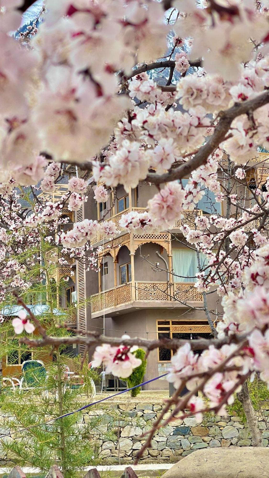 Dumani Nagar Hotel & Resort Karimabad  Exteriér fotografie