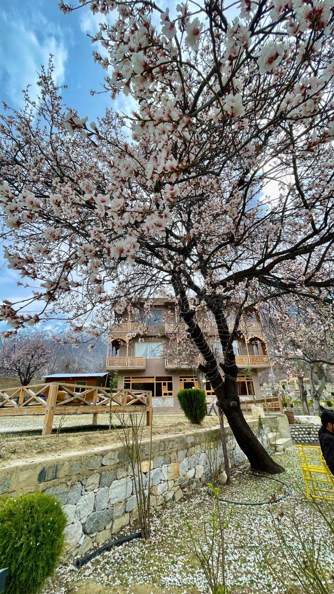 Dumani Nagar Hotel & Resort Karimabad  Exteriér fotografie